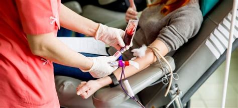 Сколько крови может потерять человек без последствий