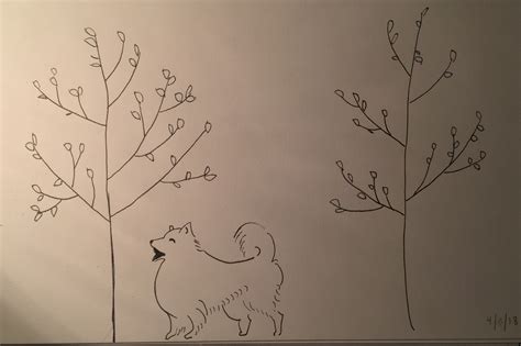 The Surprising Science Behind Success – Kismet