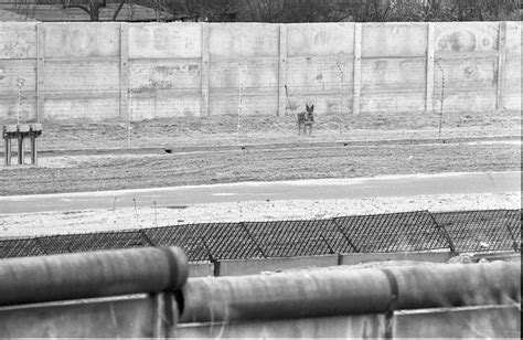 Berliner Mauer Fotos | Hundelaufanlage Finkenkruger Weg (F-015184 ...