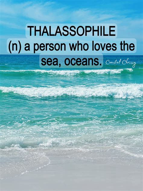 Chrissy - 🥰🐬🏖️🌊 | Facebook