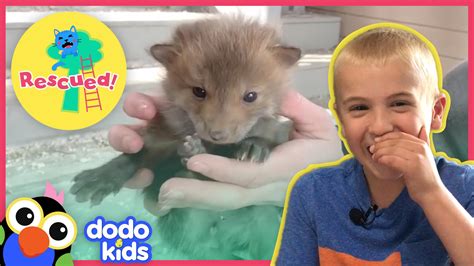 The Dodo's "Dodo Kids" - The Shorty Awards