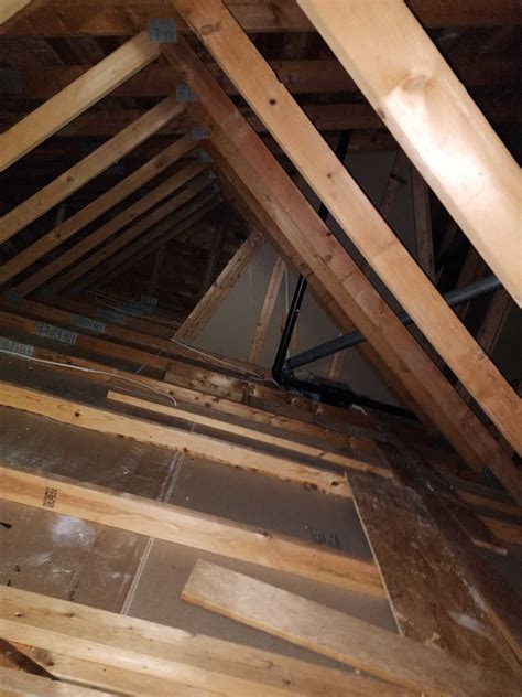 Attic Insulation Removal