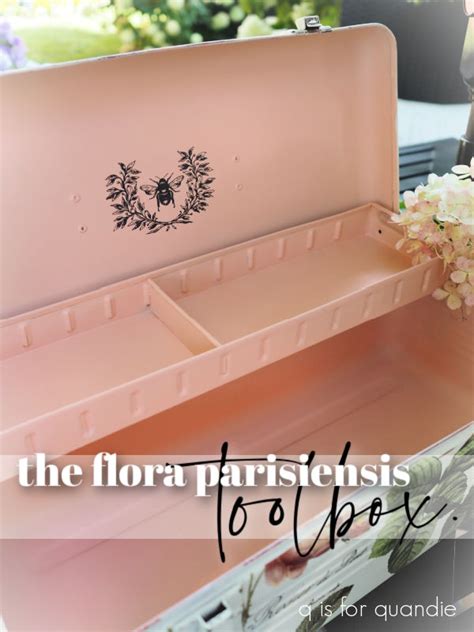 the flora parisiensis toolbox. – q is for quandie
