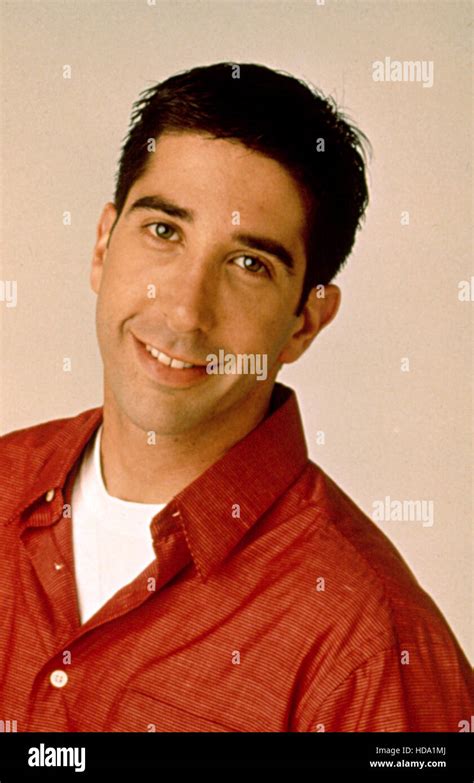 FRIENDS, David Schwimmer, 1994-present Stock Photo - Alamy