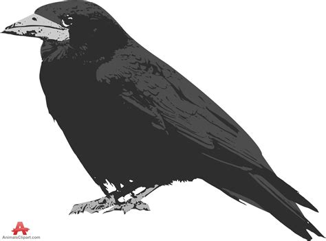 Free Raven Outline Cliparts, Download Free Raven Outline Cliparts png ...