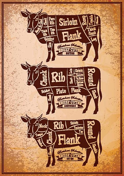 Beef Chart Poster Stock Photos, Pictures & Royalty-Free Images - iStock