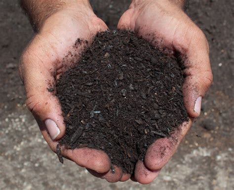 San Antonio Leaf Mold Compost – New Earth Compost