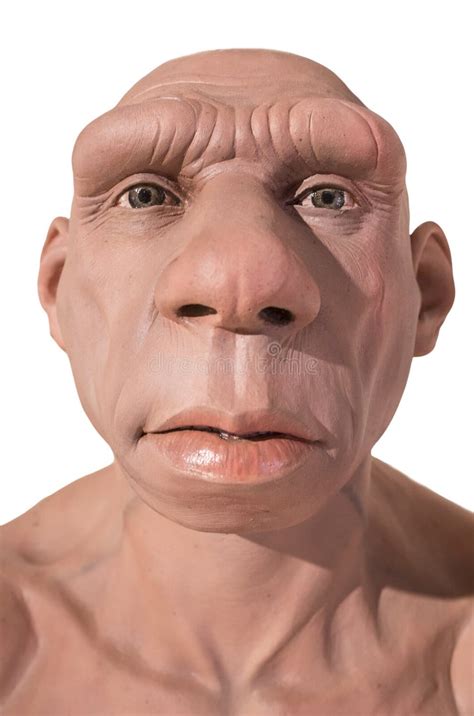 Realistic Neanderthal Stock Photos - Free & Royalty-Free Stock Photos ...