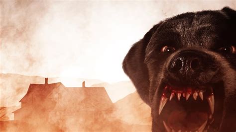 Watch Cujo | Prime Video