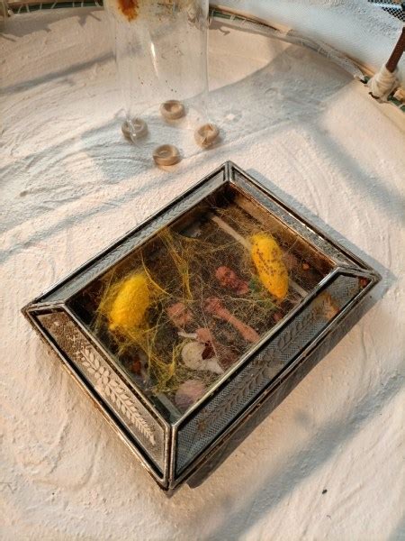 SEDA, la nueva exposición de ciencia y arte, abre sus puertas en el ...