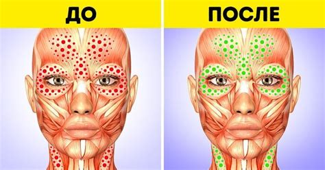 8 действенных упражнений для подтяжки овала лица | Лицо, Упражнения ...