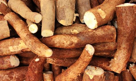 O Que Significa Sonhar Com Mandioca - O que significa Sonhar com Mandioca no Mundo Espiritual?