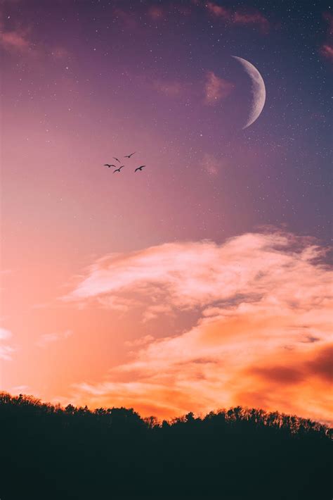 Le 100.000+ migliori foto di Anime · Download gratuito al 100% · Foto ...