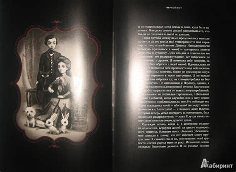Книга: Страшные рассказы - Эдгар По. Купить книгу, читать рецензии ...