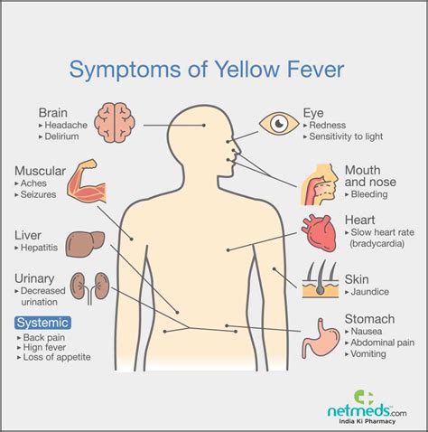 Yellow Fever: Causes, Symptoms, And Treatment | Netmeds