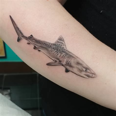sons favorite animal  tiger shark tattooed  james samaniego