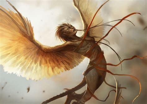 harpy destructive spirits  greek mythology nnkhc