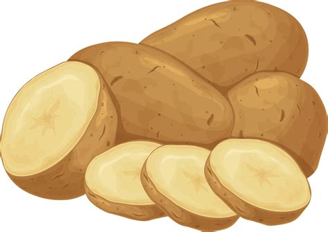 Tonalizante Castanho Escuro Antes E Depois - Potato. Potato tubers. A ripe vegetable. Vegetarian product. Sliced ...