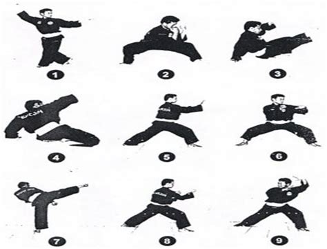 Learn Pencak Silat Techniques APK 1.1 for Android – Download Learn ...