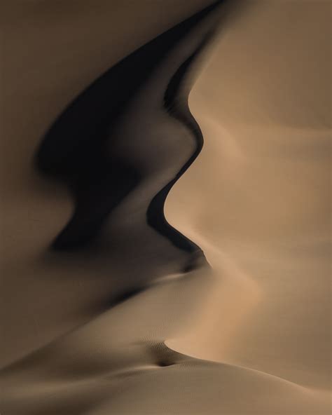 CHINA-GOBI-DESERT-SNAKE - Martin Bauer Photography