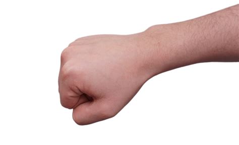 Clenched Fist and Forearm transparent PNG - StickPNG