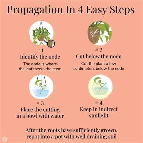 types  propagation methods  eric metcalfe blog