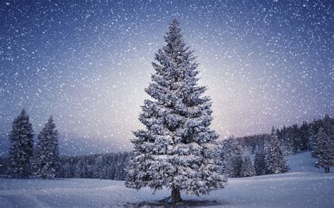 Snowy Christmas Backgrounds - WallpaperSafari