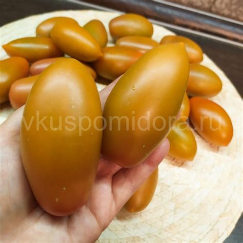 Купить семена томата сорт Ириска (Toffee)