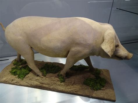 Slavnostní otevření expozice Zemědělství - Martin Fryč