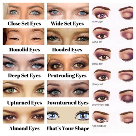 You: which eye shape is mine? | Makeup for downturned eyes, Eye shape ...