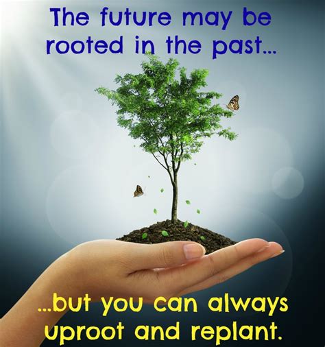 Uprooted Quotes. QuotesGram