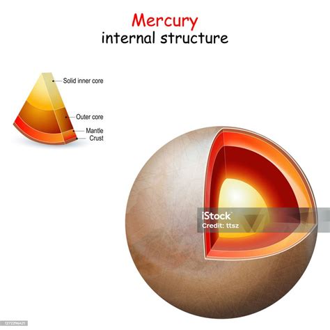 struktur internal merkuri ilustrasi stok  gambar