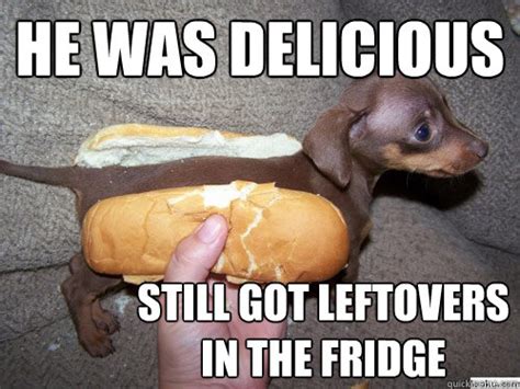 Literal Weiner Dog memes | quickmeme