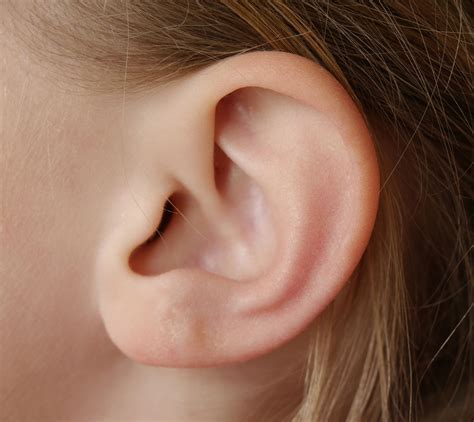 ears kidshealth nz