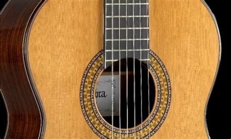 Review of the Alhambra 9P guitar. Features and Specs
