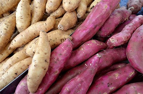 Transforme sua dieta com batata-doce: 8 vantagens que você precisa ...