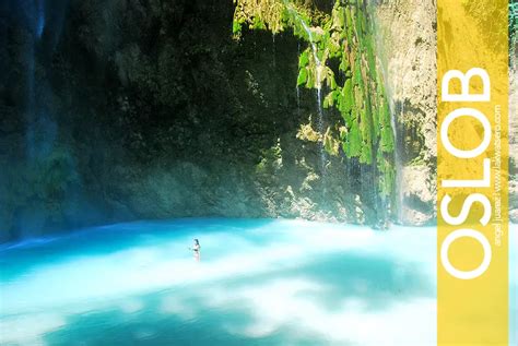 Oslob: The Lost Grandeur of Tumalog Falls | Lakwatsero