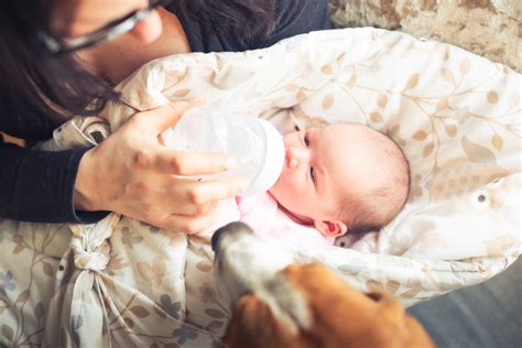 Newborn Feeding: Essential Guide for New Parents - Instructions Manual