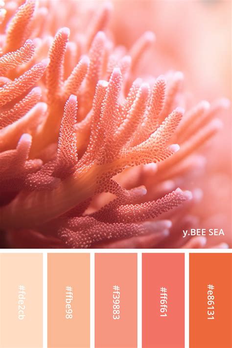 coral color palettes  names  hex codes artofit