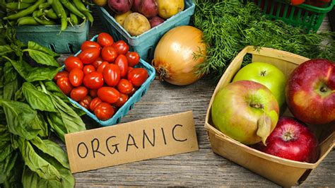 What does organic food actually mean? | Grist