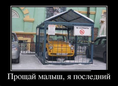 Смешные демотиваторы (21 шт)
