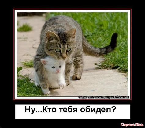 Прикольные картинки я обиделась (28 фото) 🔥 BipBap.ru