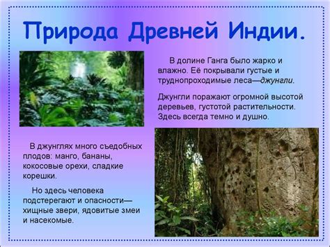 Природа и люди в Древней Индии - презентация онлайн
