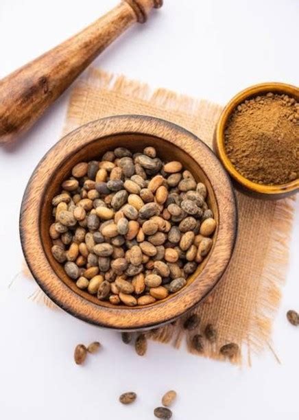 croton seeds benefitsside effects    herbal information