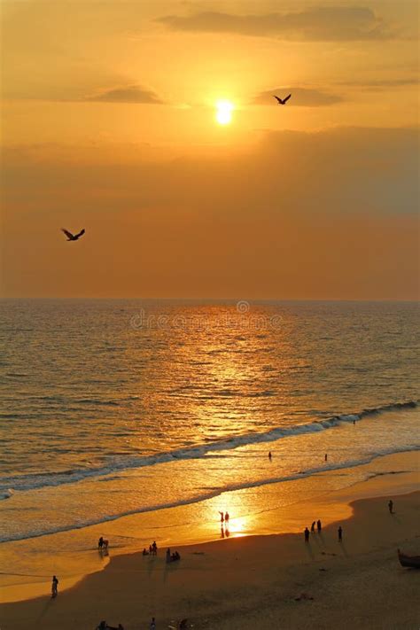 sunset   varkala beach south india stock photo image  indian