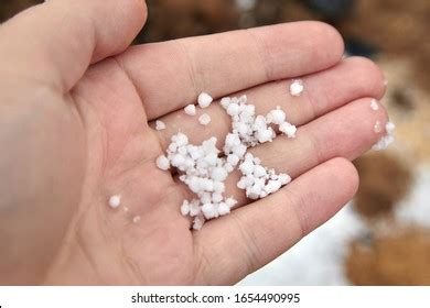 Graupel: Over 293 Royalty-Free Licensable Stock Photos | Shutterstock