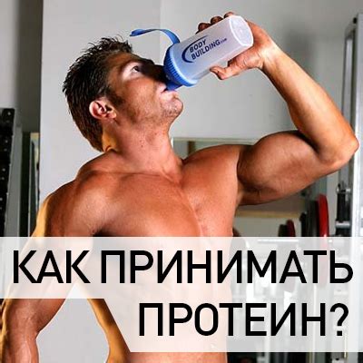 Виды протеина: чем они отличаются и какие лучше выбрать | Статьи от ...