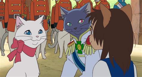 Appreciating Important Studio Ghibli Cats For International Cat Day ...