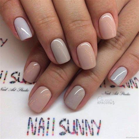 Shellac Designs 2020 Verified Quality | www.pinnaxis.com