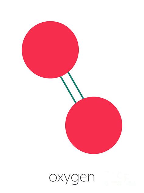Molecular Structure Of Oxygen